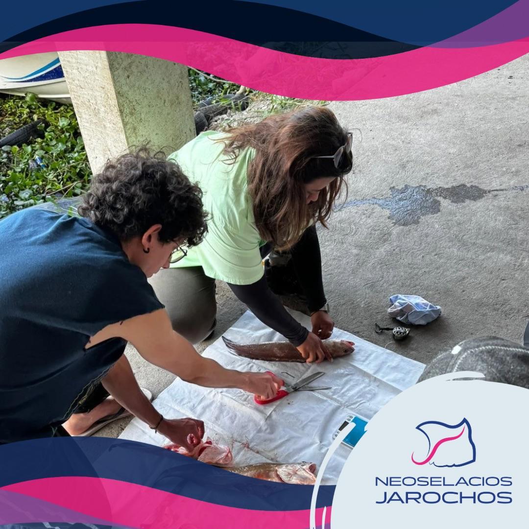 Exposición fotográfica